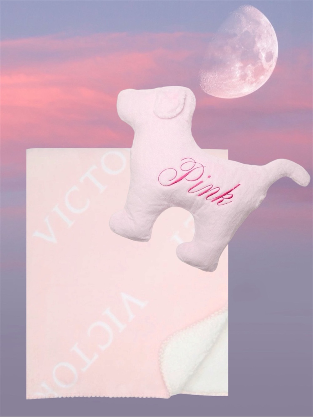 Victoria’s Secret Logo pink Cozy Plush Blanket & PINK DOG PILLOW